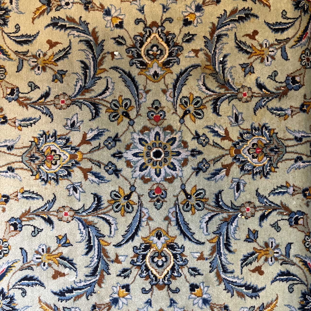 Vintage Handknotted Pale Green Persian Rug - 9'3x12'10