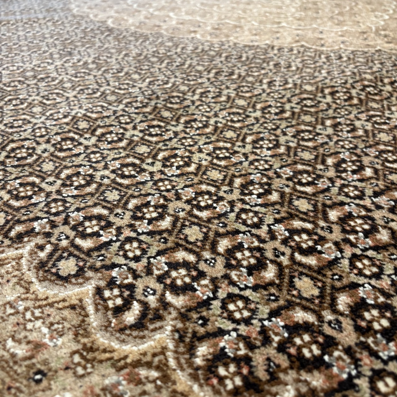 Brown Persian Rug - 9'9 x 12'10 - Image 6