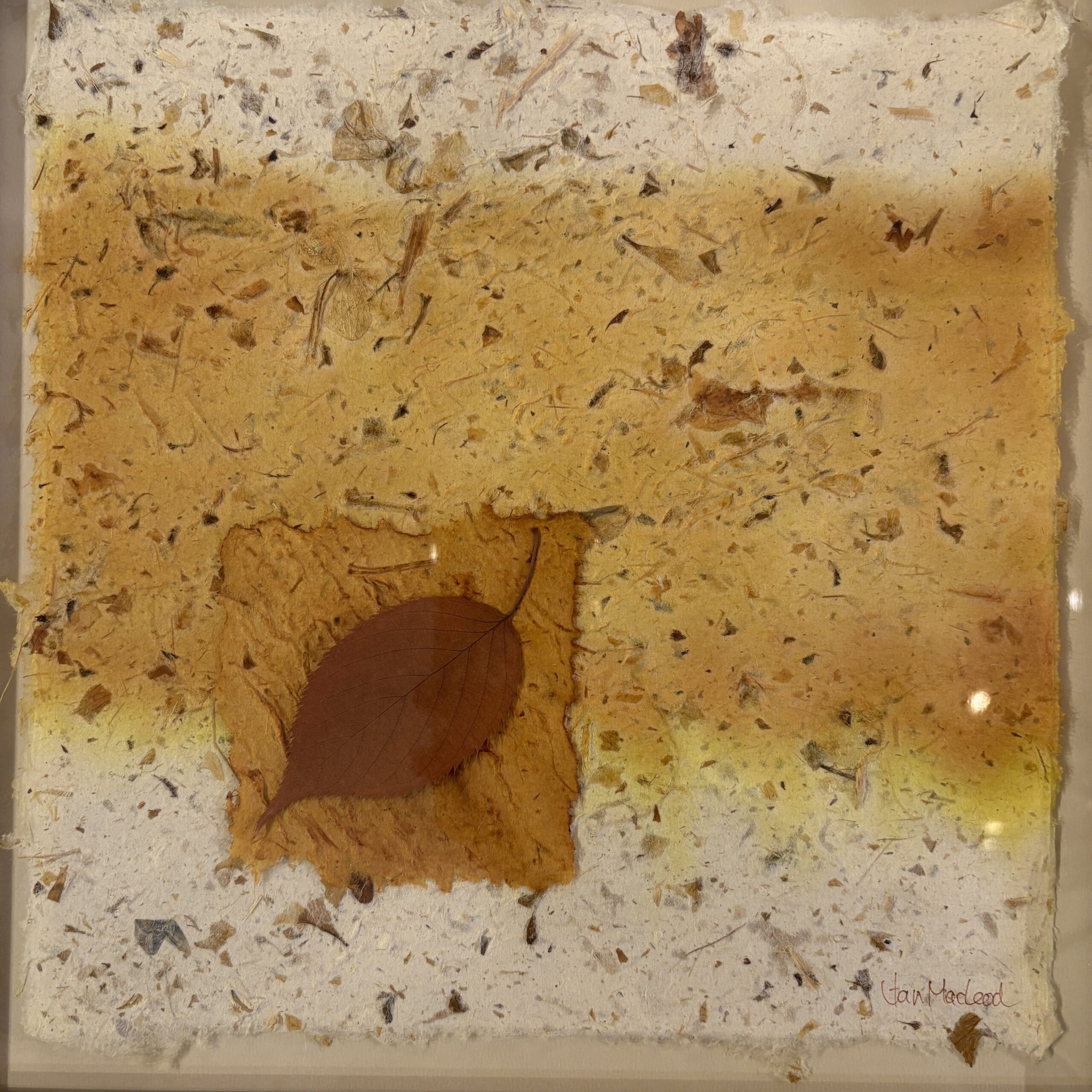 Jan MacLeod "Plant Papers" Original Mixed Media - Image 3