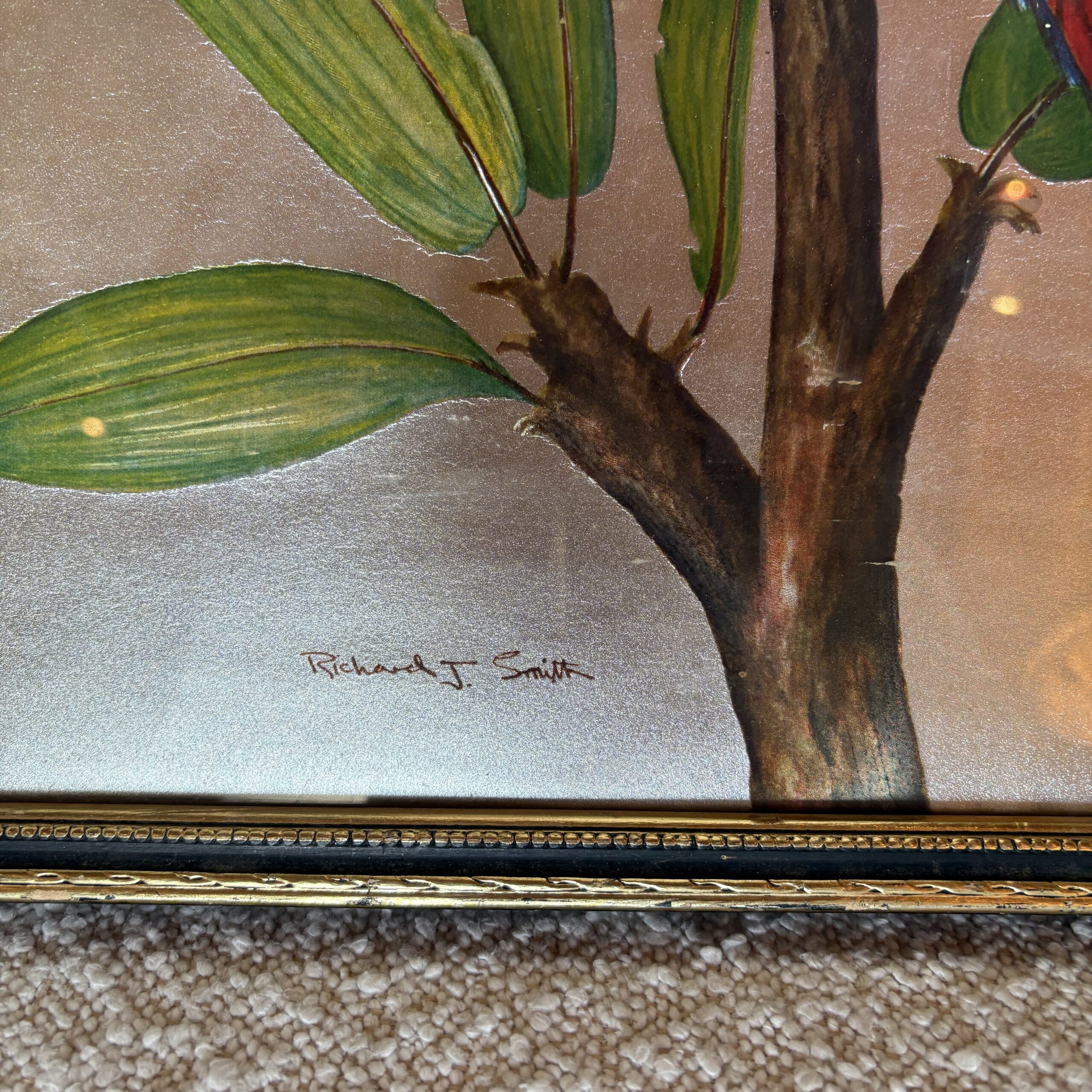 Richard J. Smith "Red &amp; Yellow Macaw" Circa 1980 - Coast Consignment - image 4
