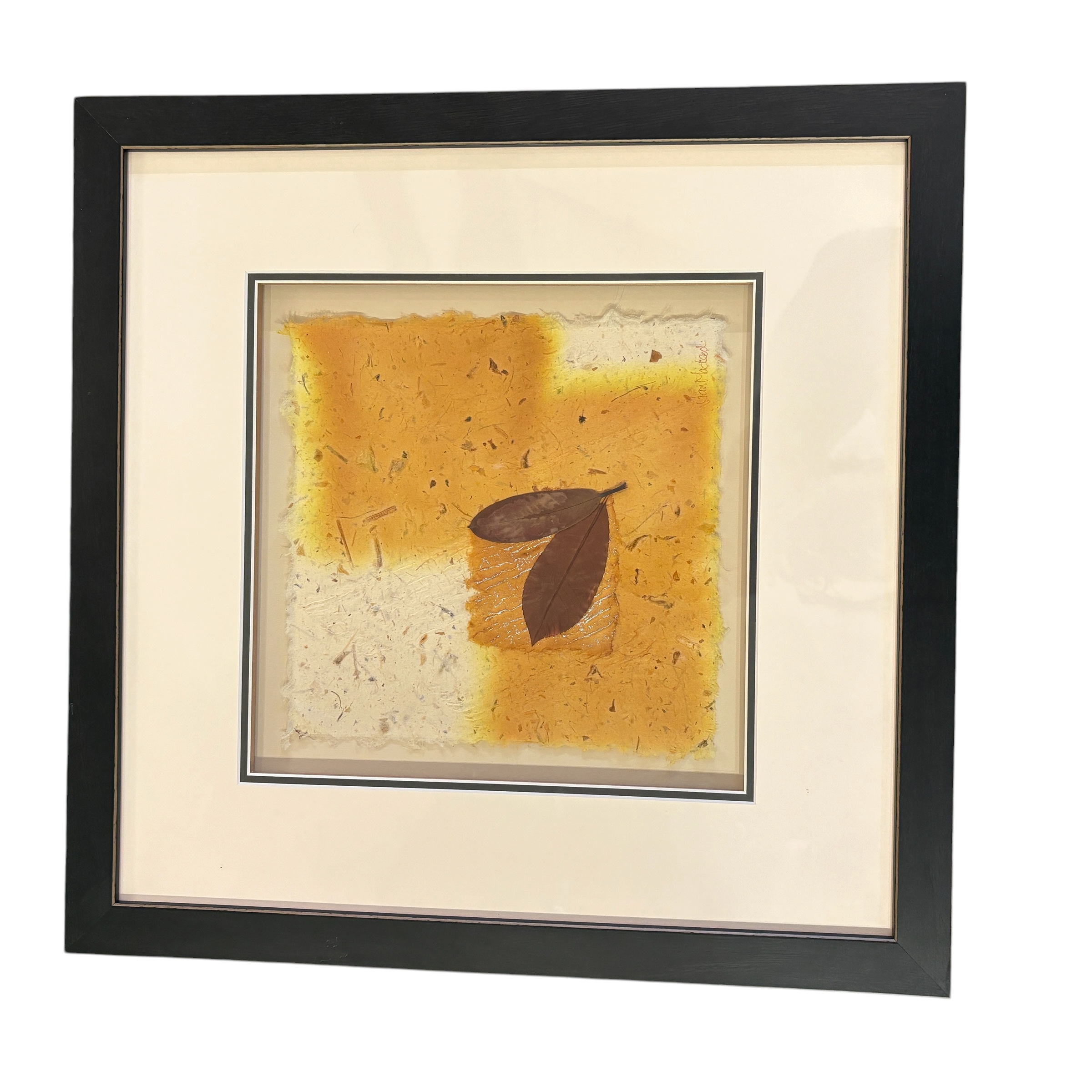 Jan MacLeod "Plant Papers" Original Mixed Media