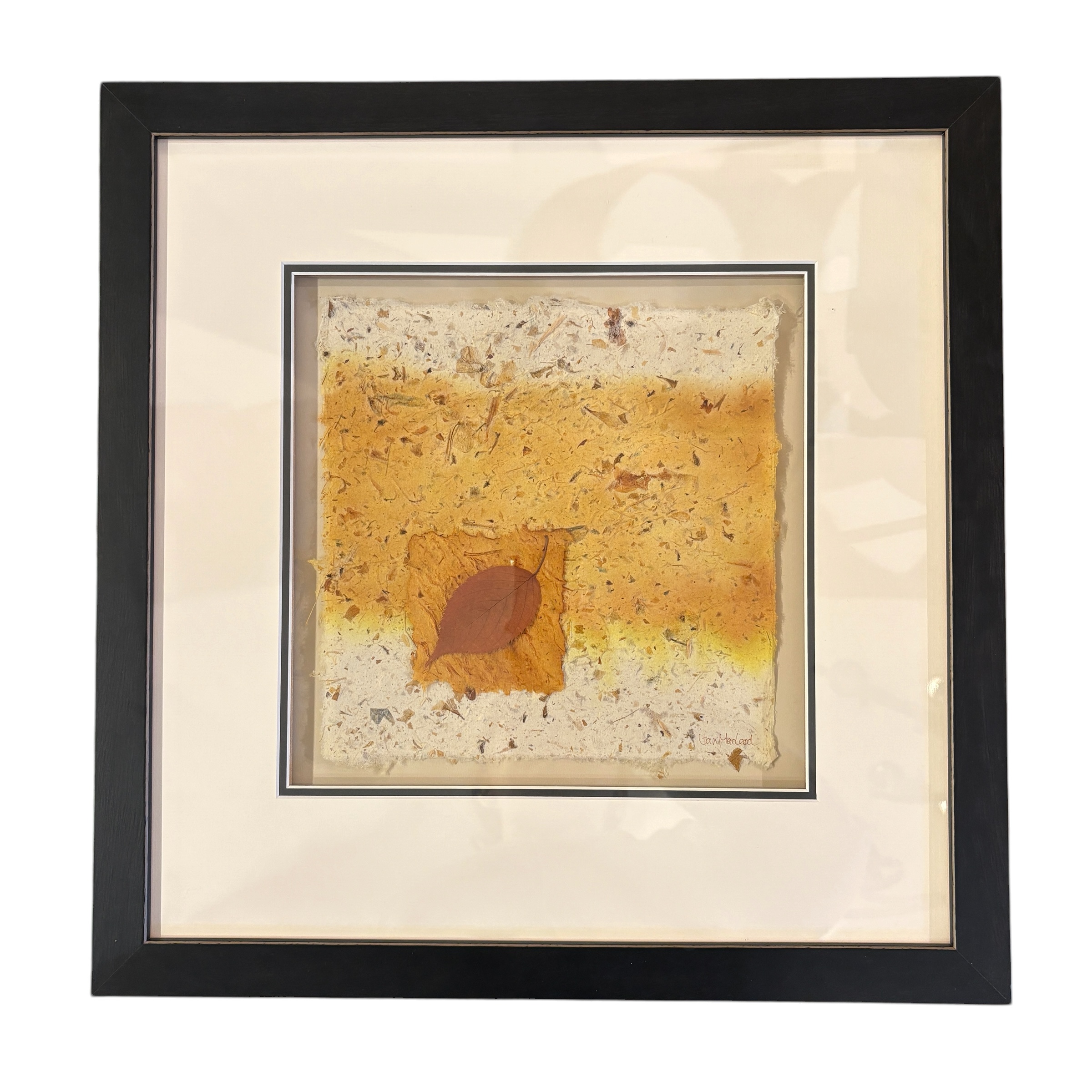 Jan MacLeod "Plant Papers" Original Mixed Media