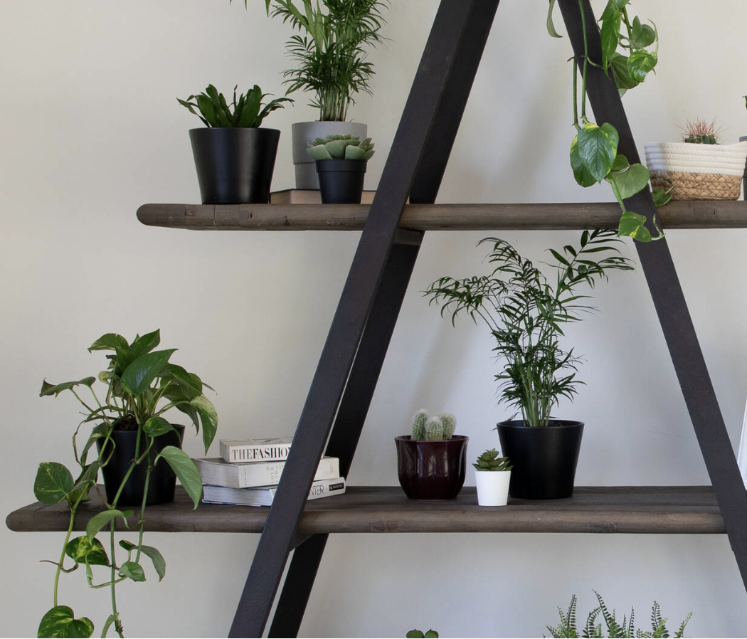 Urban Barn 'Logan' Reclaimed Wood Bookshelf - Image 2