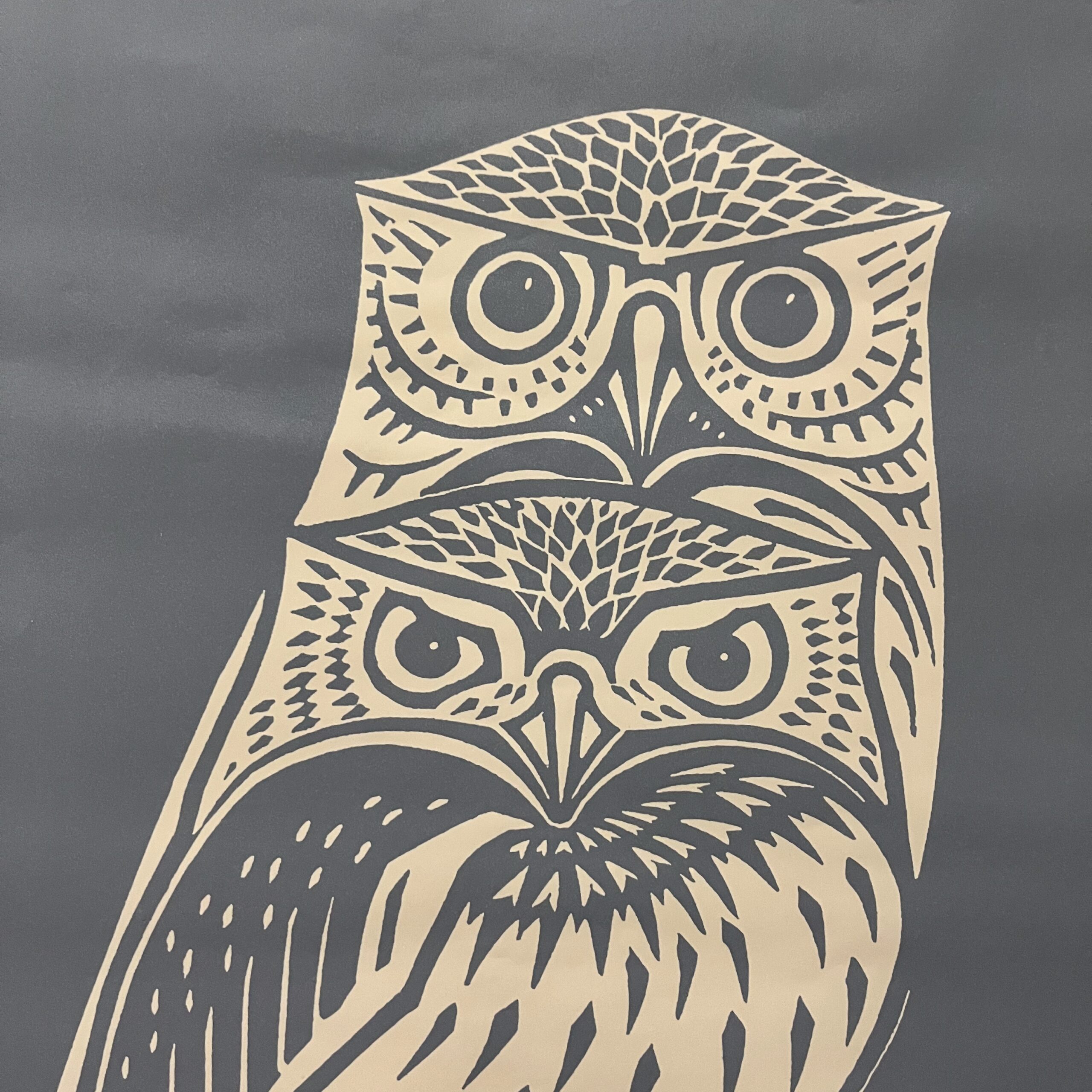 Framed Blue &amp; White Owl Print - Coast Consignment