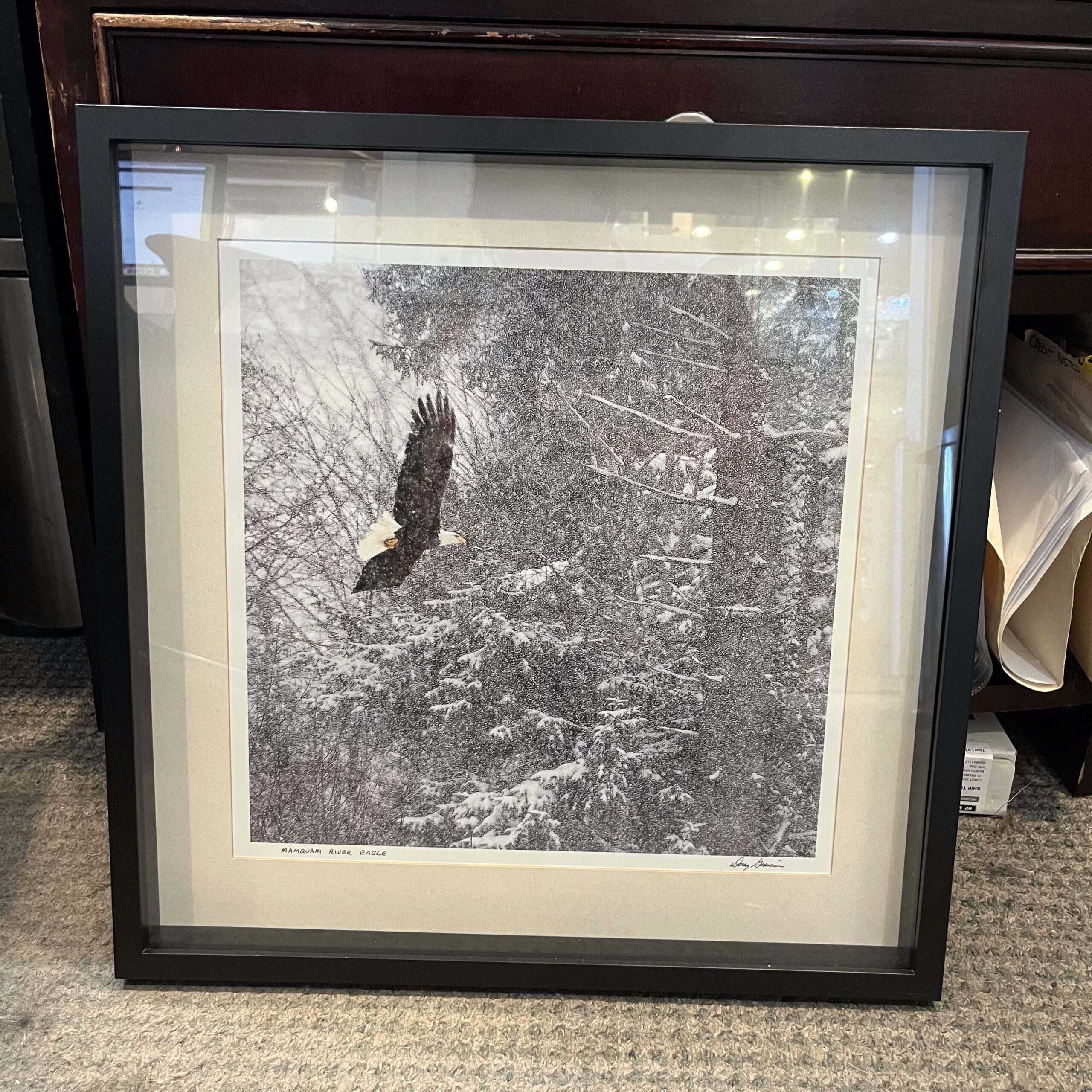 Doug Goxucin 'Mamquam River Eagle' Print - Coast Consignment