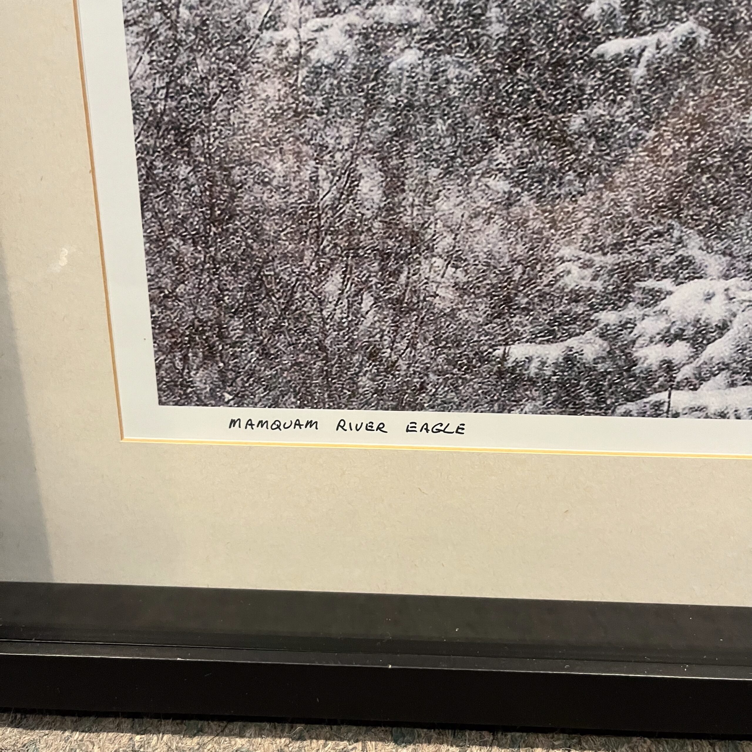 Doug Goxucin 'Mamquam River Eagle' Print - Coast Consignment