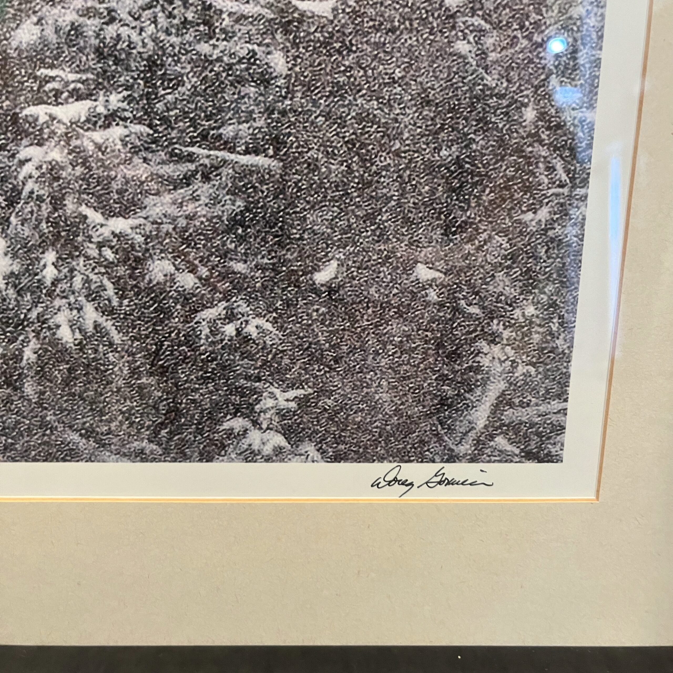 Doug Goxucin 'Mamquam River Eagle' Print - Coast Consignment