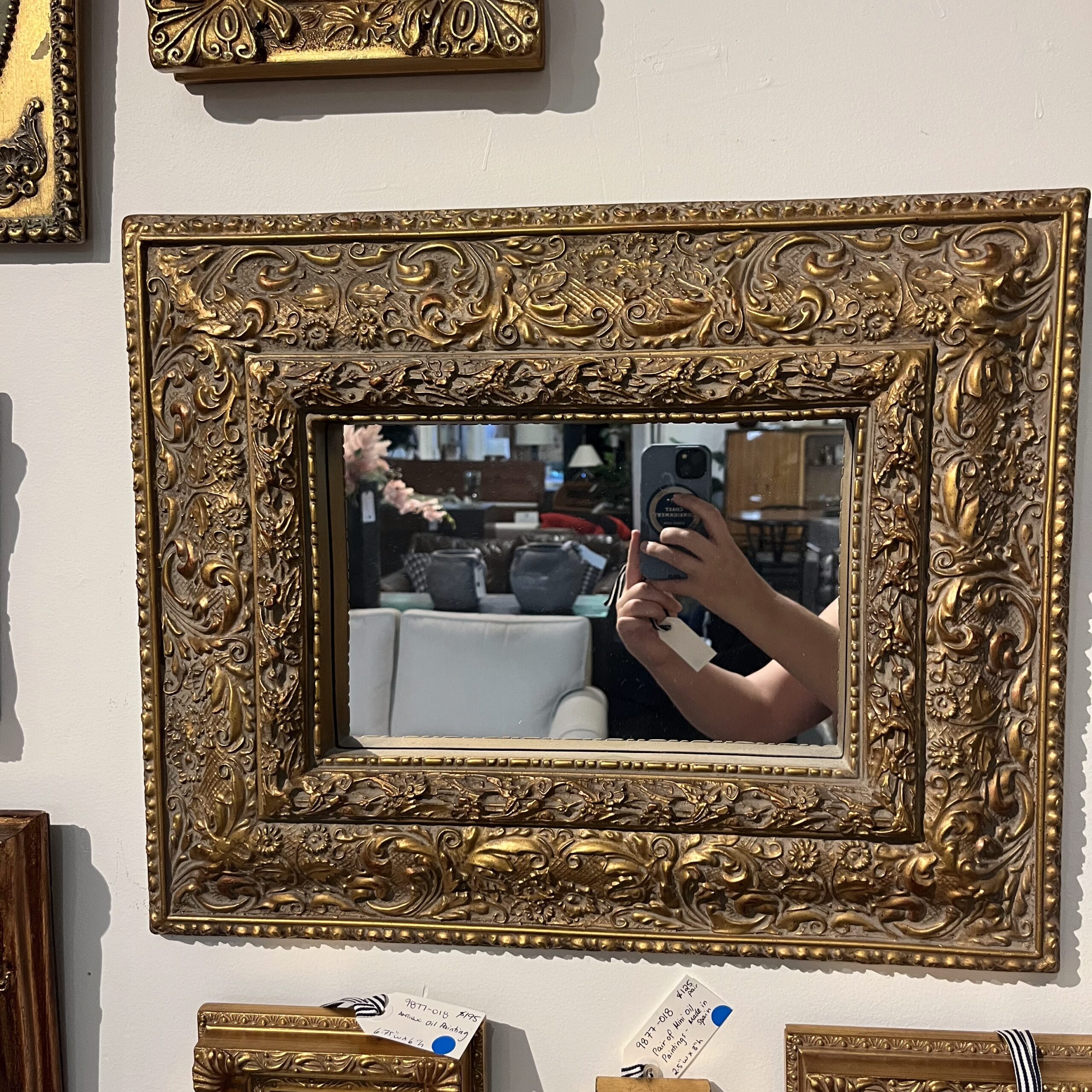 Small Mirror with Ornate Frame - Coast Consignment