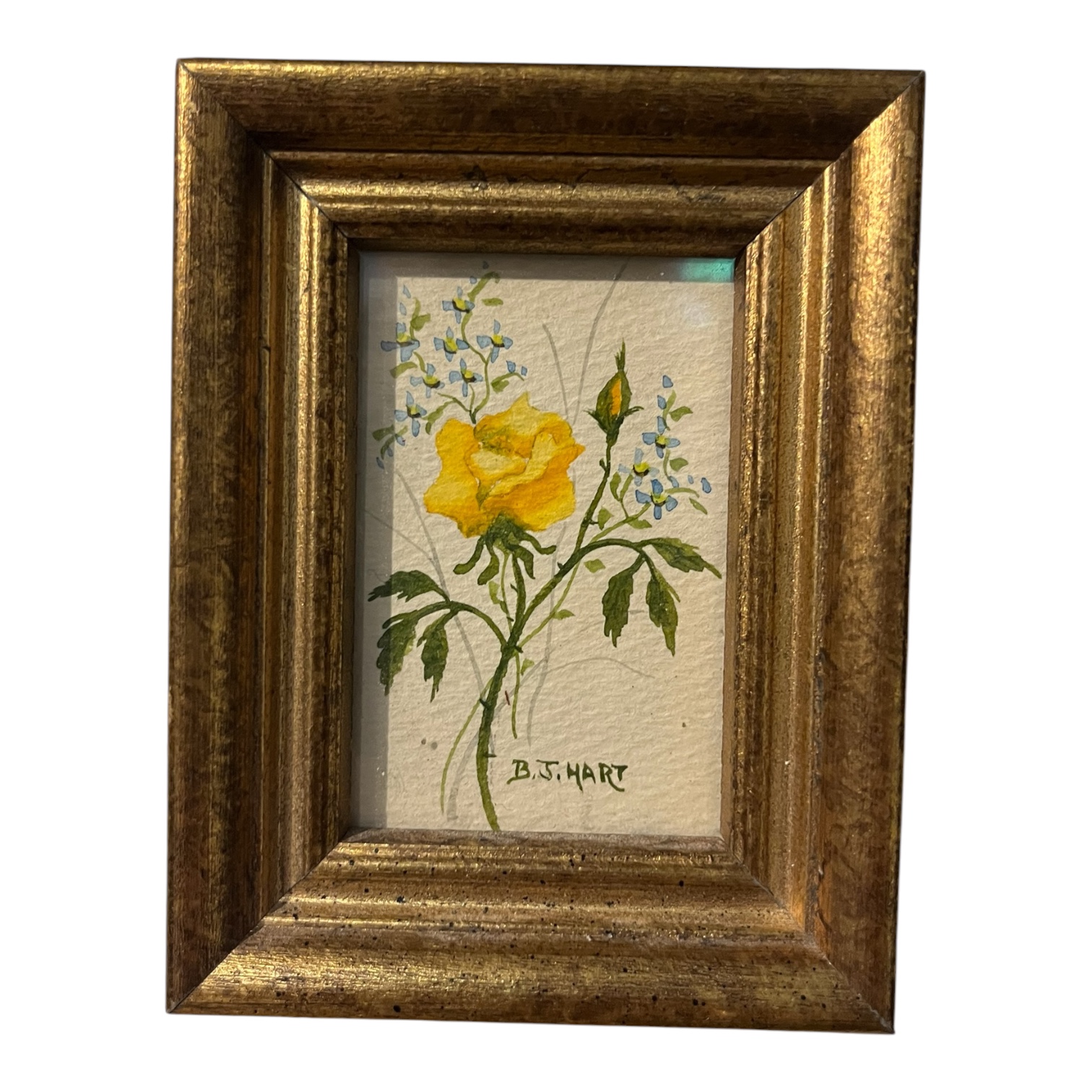 Set of 3 Original Floral Watercolours - Coast Consignment