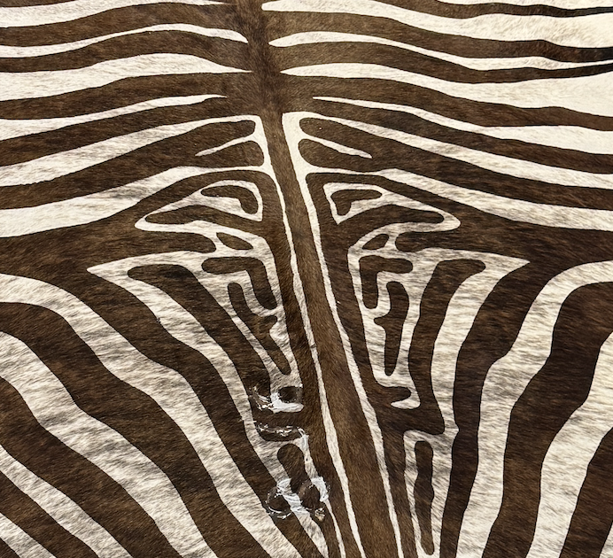 Zebra Print Cowhide Rug - Coast Consignment - image 1
