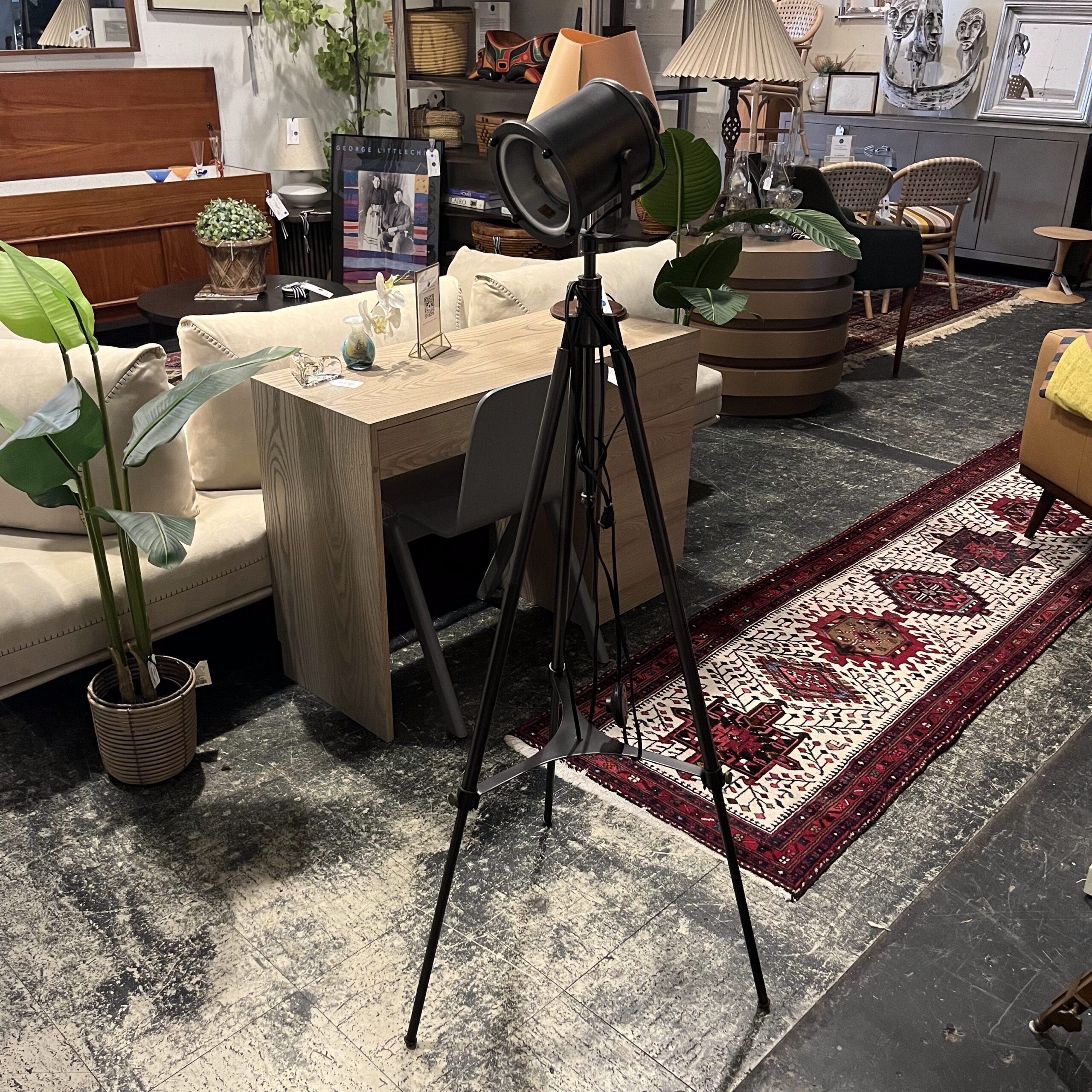 Spotlight Floor Lamp - Coast Consignment