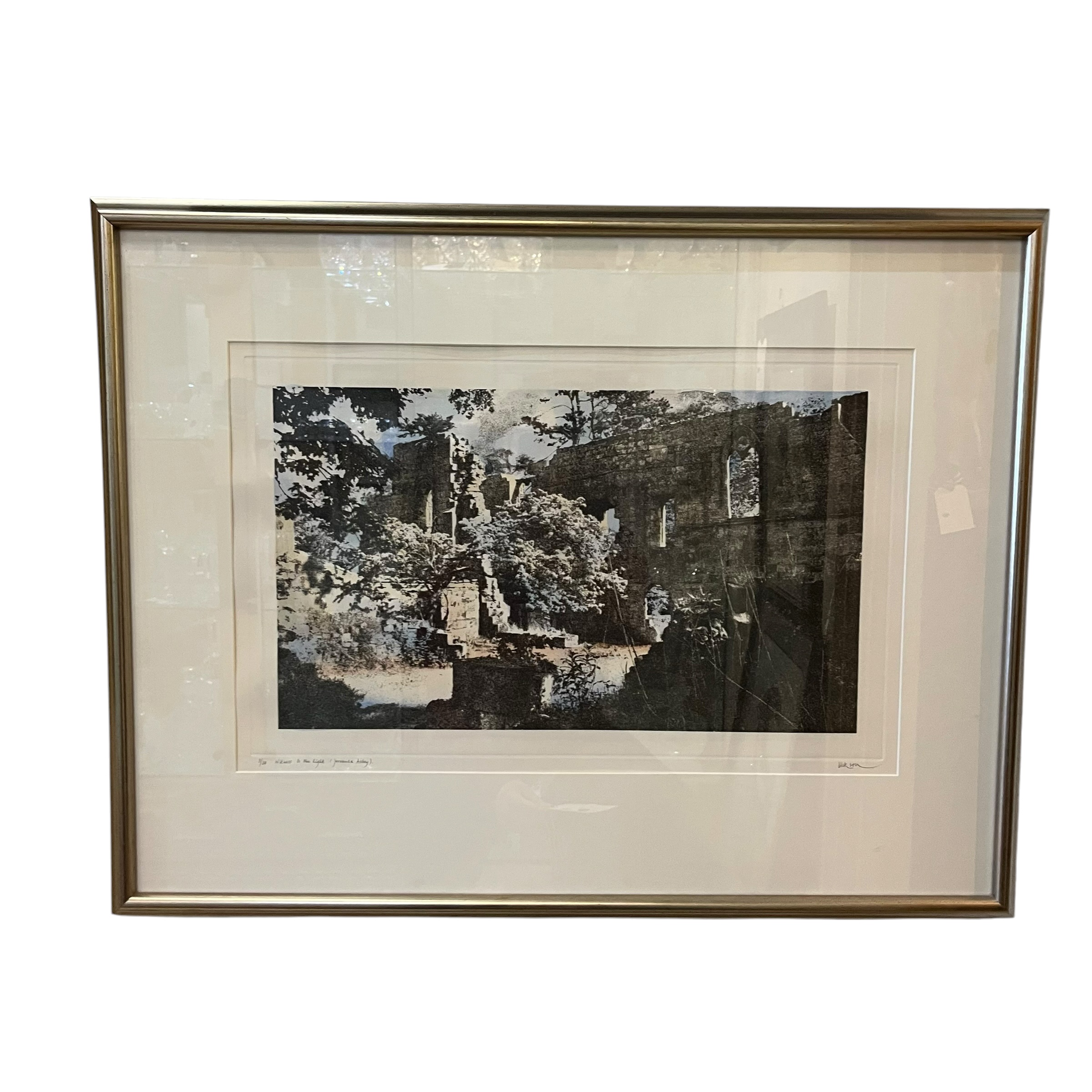 Jennifer Dickson (1936-2025) "Witness to the Light" Photograph - Coast Consignment