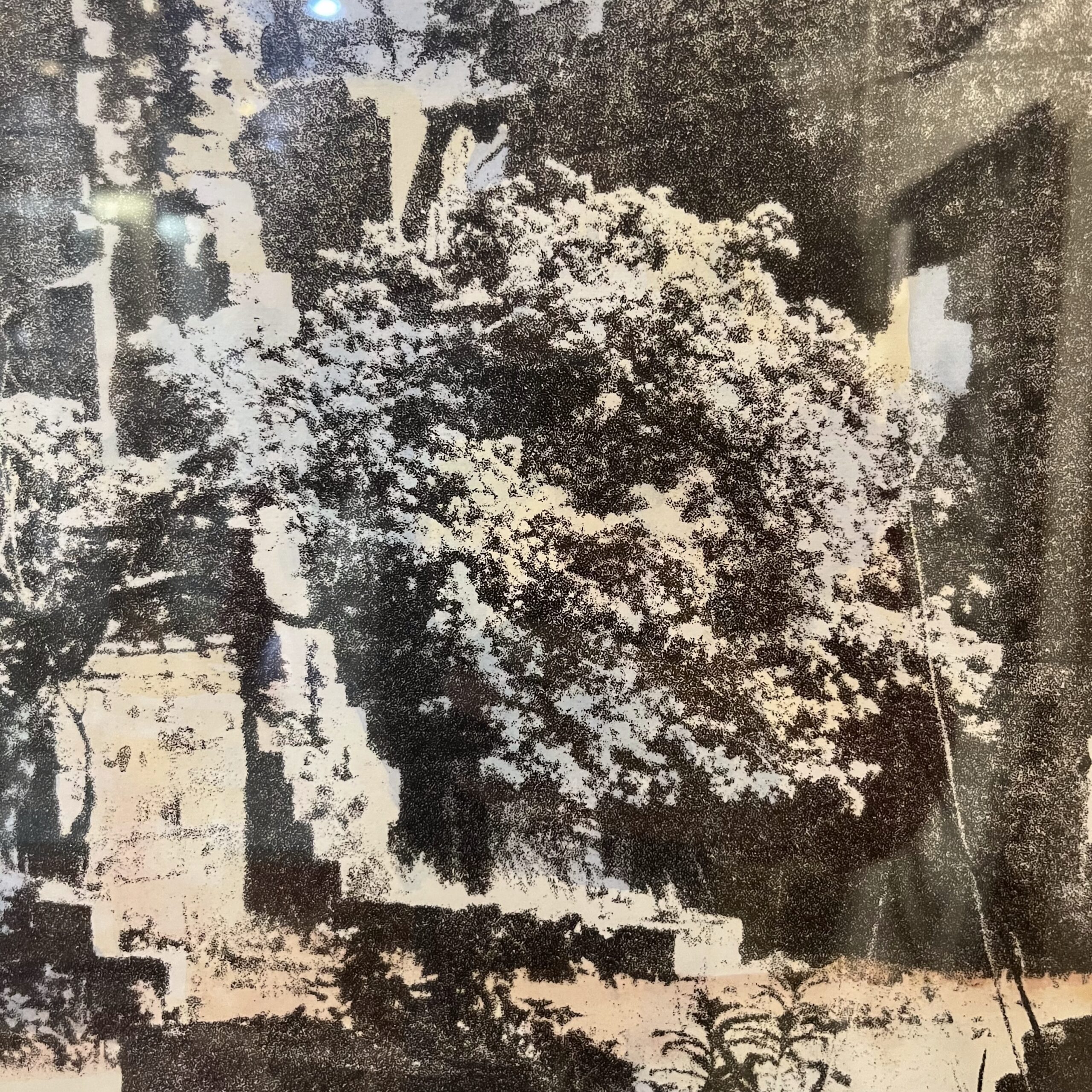 Jennifer Dickson (1936-2025) "Witness to the Light" Photograph - Coast Consignment