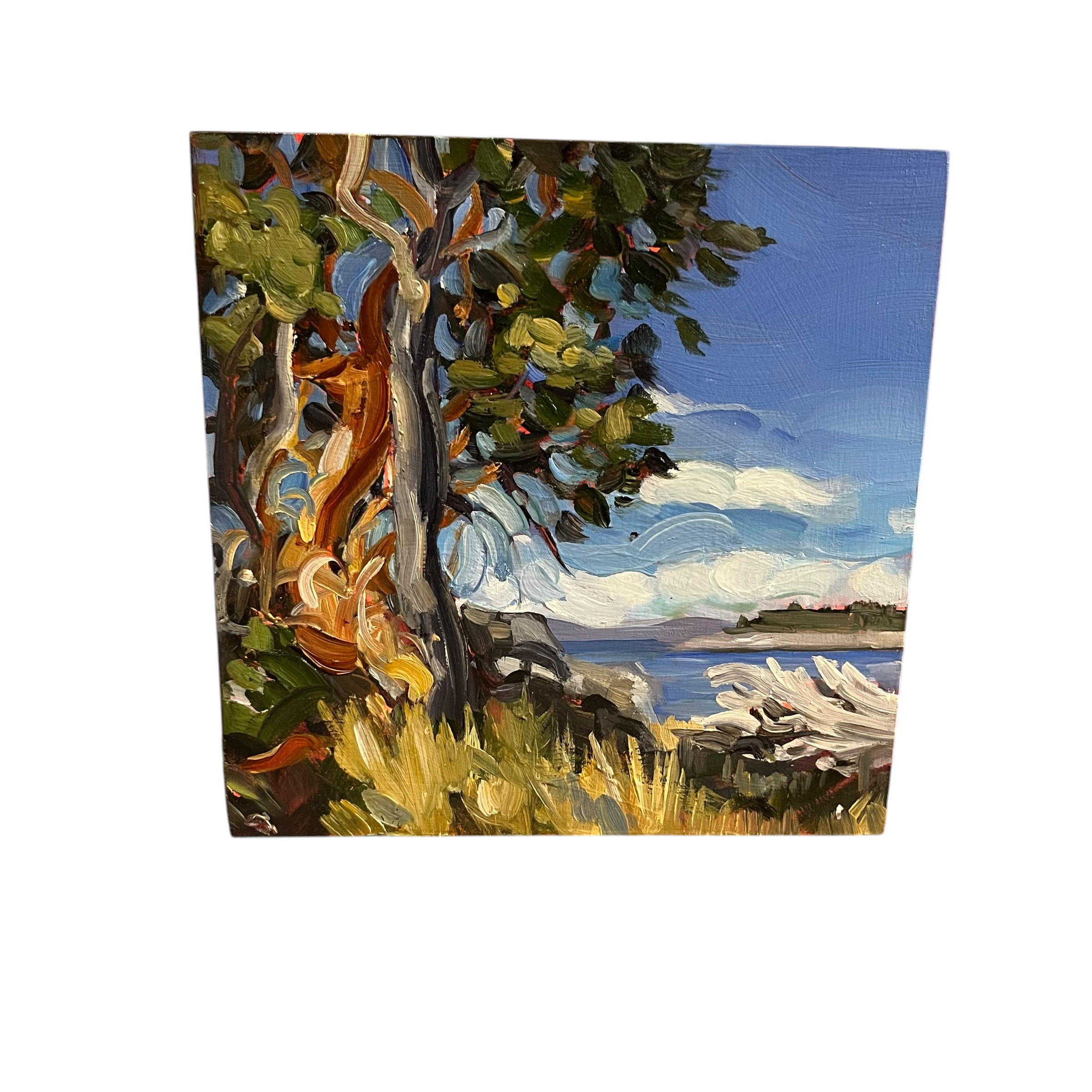 Joann Armour "Arbutus Afternoon" Original Artwork - Coast Consignment - image 1