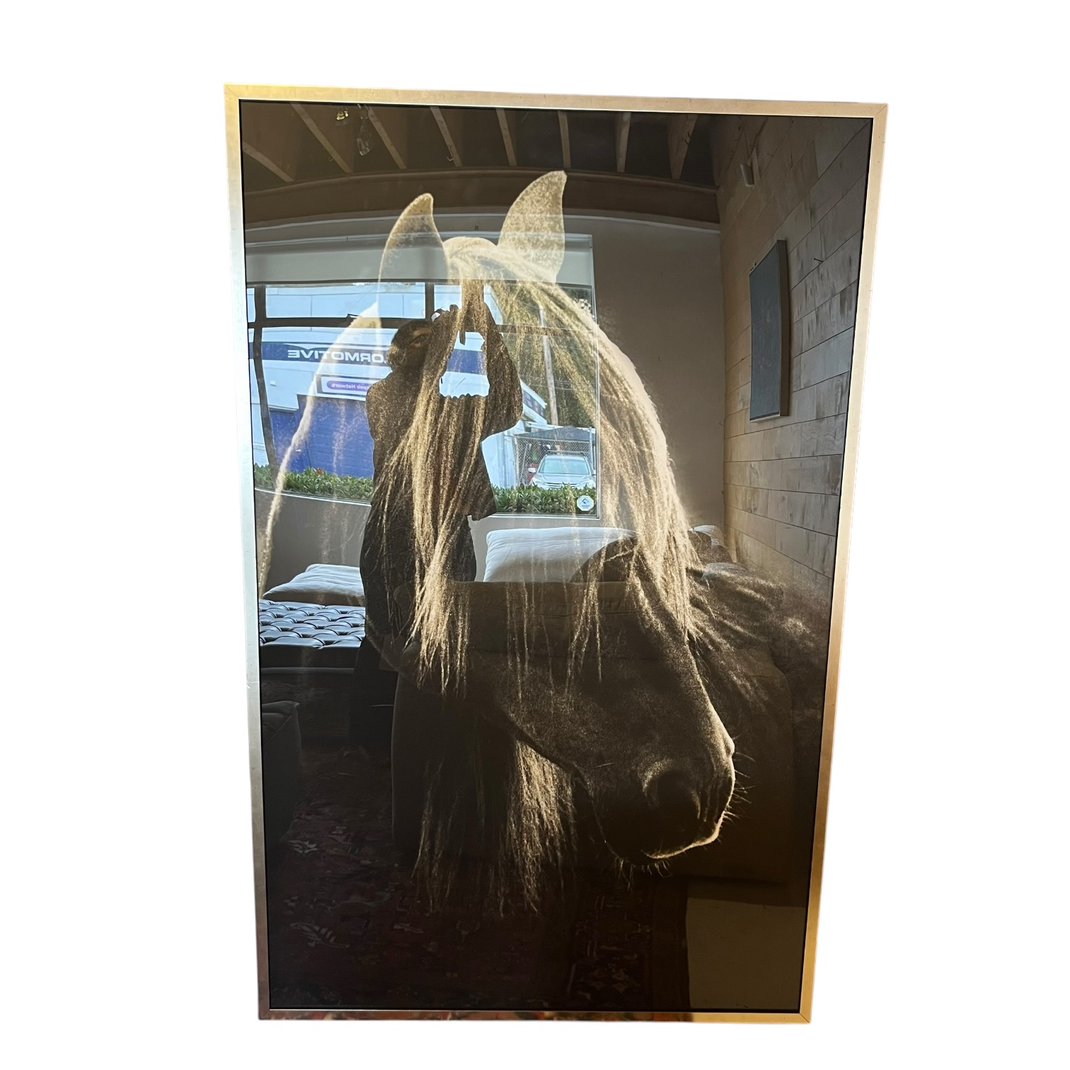 Large Framed Black &amp; White Photo of Horse - Coast Consignment