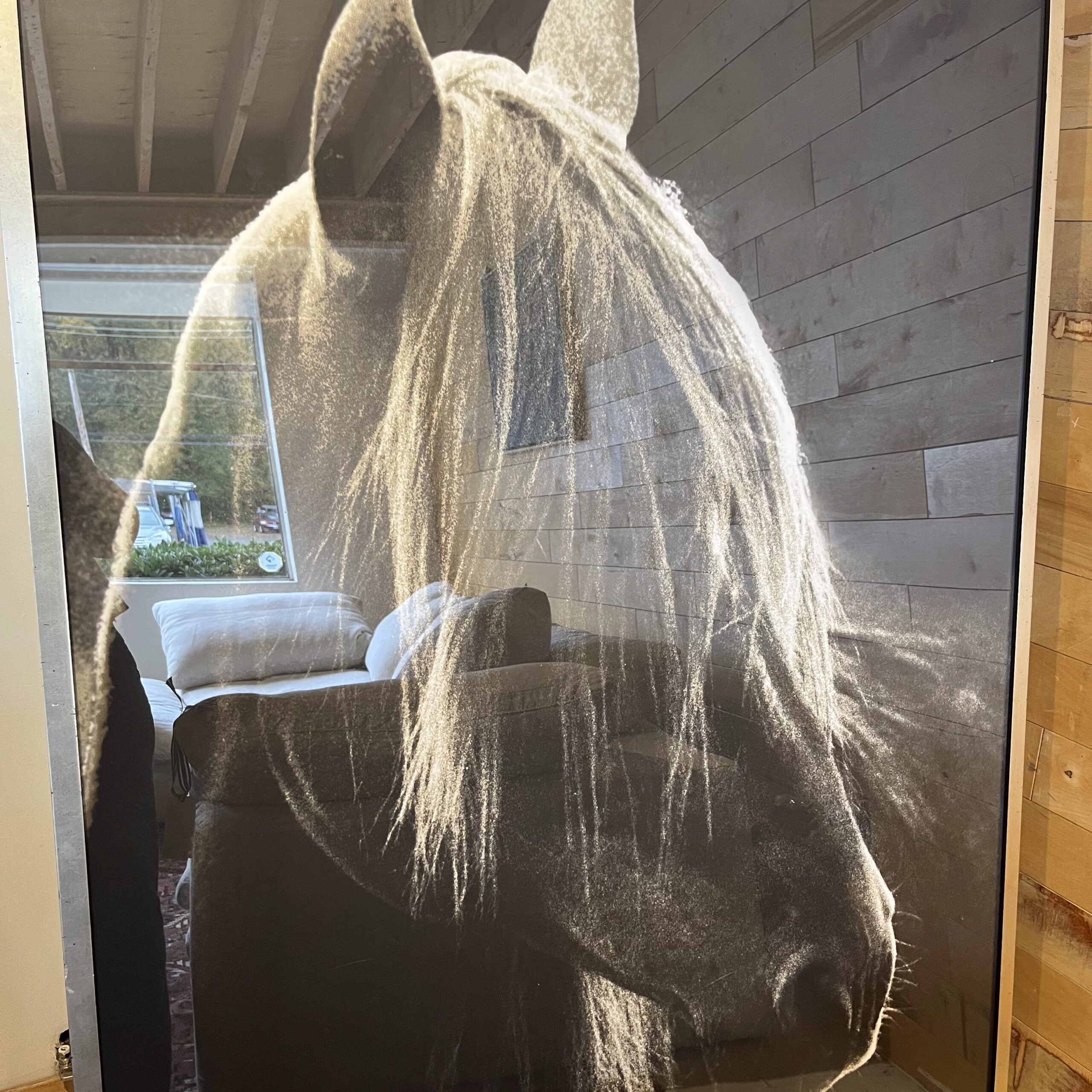 Large Framed Black &amp; White Photo of Horse - Coast Consignment