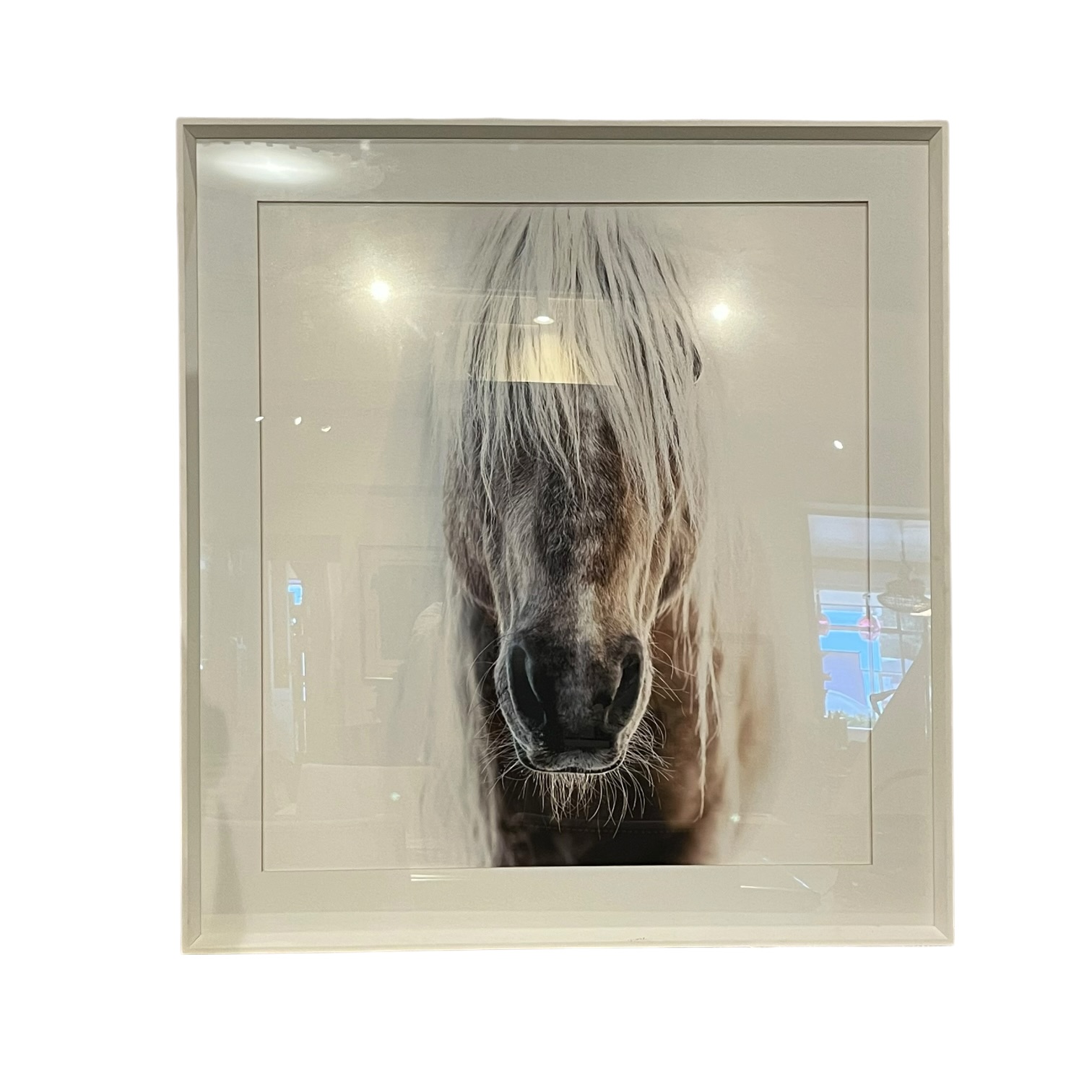 Square Framed Photo of Horse - Coast Consignment - image 1