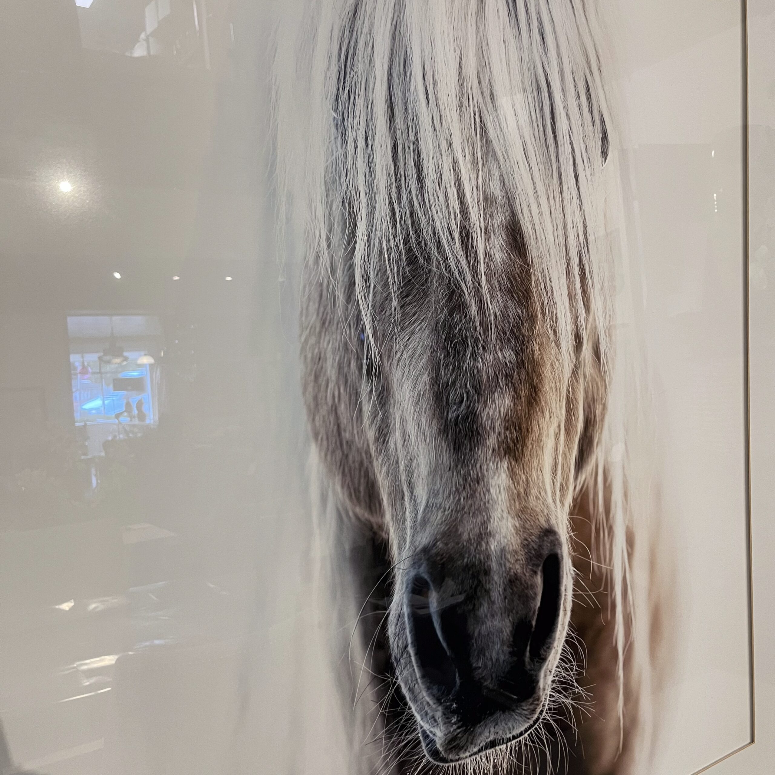 Square Framed Photo of Horse - Coast Consignment